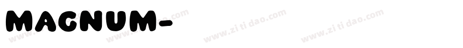 MAGNUM字体转换