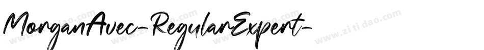MorganAvec-RegularExpert字体转换