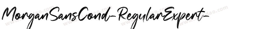 MorganSansCond-RegularExpert字体转换 MorganSansCond-RegularExpert字体转换