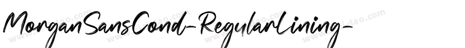 MorganSansCond-RegularLining字体转换