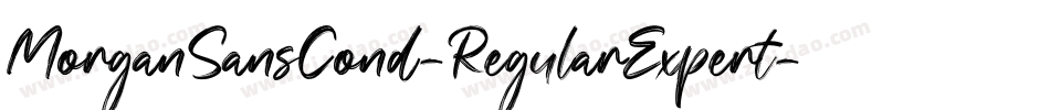 MorganSansCond-RegularExpert字体转换 MorganSansCond-RegularExpert字体转换