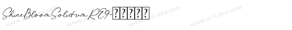 ShineBloomSolid-vmRE9字体转换