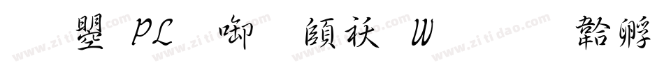文鼎PL新宋转换器字体转换