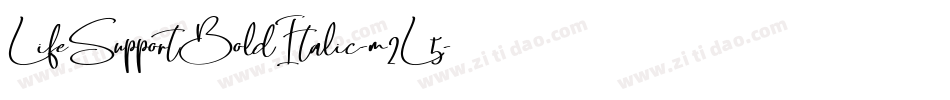 LifeSupportBoldItalic-m2L5字体转换