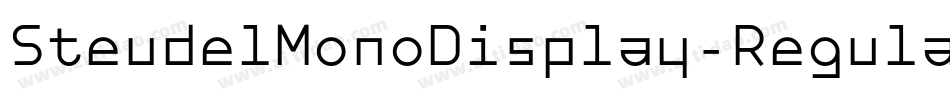 SteudelMonoDisplay-Regular字体转换