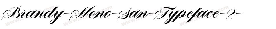 Brandy-Mono-San-Typeface-2字体转换