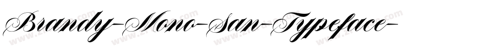 Brandy-Mono-San-Typeface字体转换