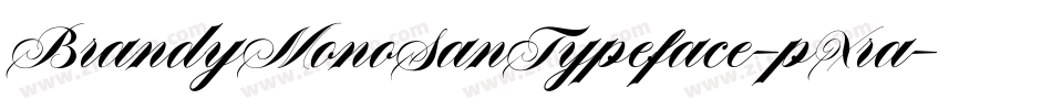 BrandyMonoSanTypeface-pXra字体转换