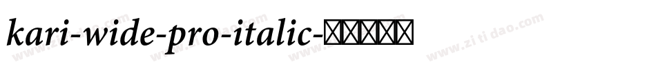 kari-wide-pro-italic字体转换
