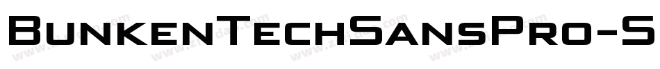BunkenTechSansPro-Se字体转换