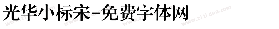 光华小标宋字体转换