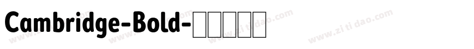 Cambridge-Bold字体转换