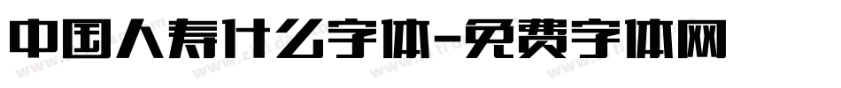 中国人寿什么字体字体转换