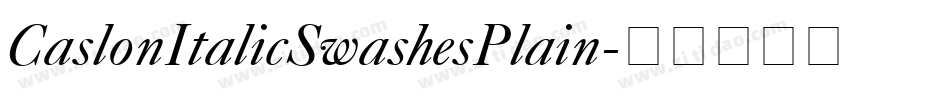CaslonItalicSwashesPlain字体转换