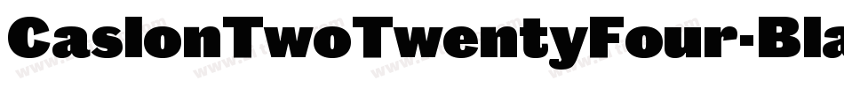 CaslonTwoTwentyFour-Black字体转换 CaslonTwoTwentyFour-Black字体转换