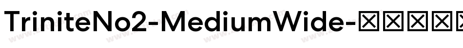 TriniteNo2-MediumWide字体转换