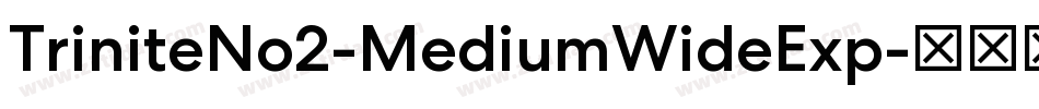 TriniteNo2-MediumWideExp字体转换