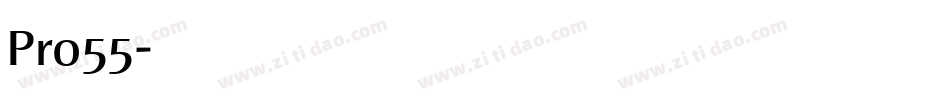 Pro55字体转换