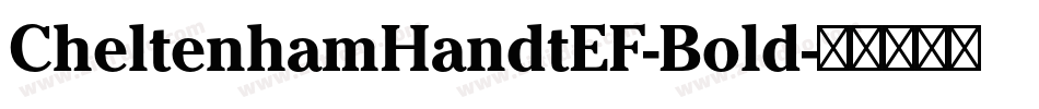 CheltenhamHandtEF-Bold字体转换