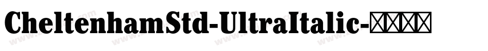 CheltenhamStd-UltraItalic字体转换