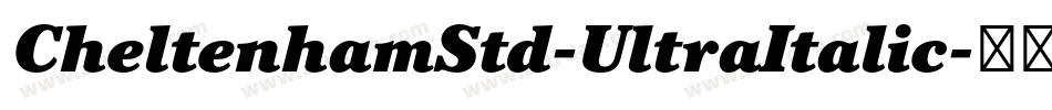 CheltenhamStd-UltraItalic字体转换