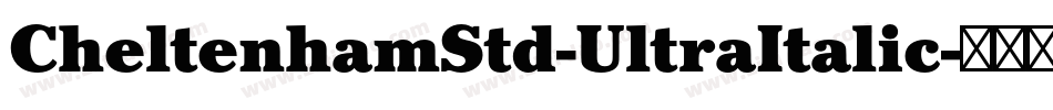 CheltenhamStd-UltraItalic字体转换