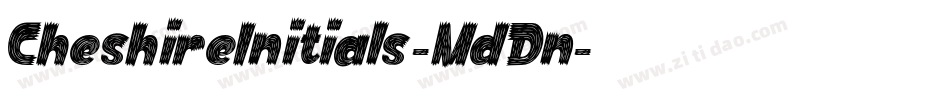 CheshireInitials-MdDn字体转换