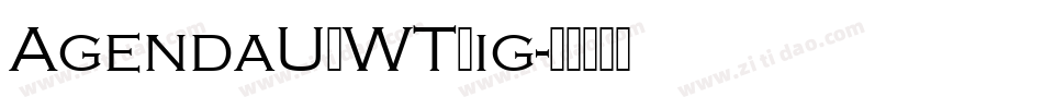 AgendaURWTLig字体转换