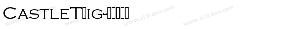 CastleTLig字体转换