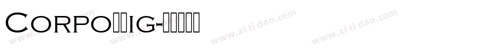CorpoSLig字体转换