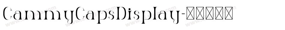 CammyCapsDisplay字体转换 CammyCapsDisplay字体转换