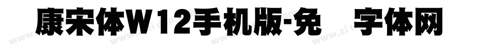 华康宋体W12手机版字体转换