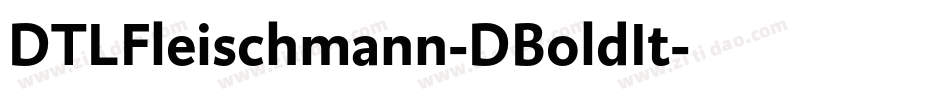 DTLFleischmann-DBoldIt字体转换