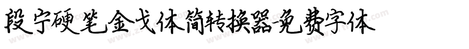 段宁硬笔金戈体简转换器字体转换