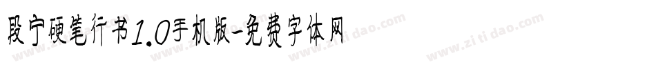 段宁硬笔行书1.0手机版字体转换