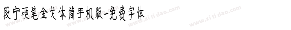 段宁硬笔金戈体简手机版字体转换