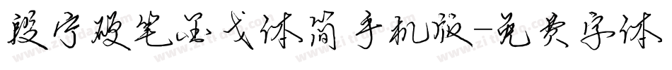 段宁硬笔金戈体简手机版字体转换