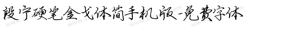 段宁硬笔金戈体简手机版字体转换