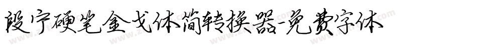 段宁硬笔金戈体简转换器字体转换