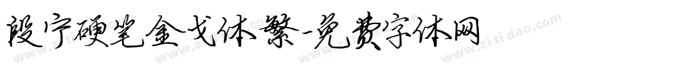 段宁硬笔金戈体繁字体转换