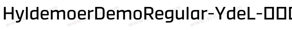 HyldemoerDemoRegular-YdeL字体转换