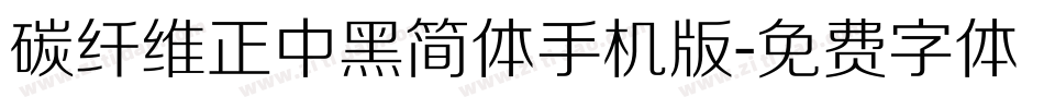碳纤维正中黑简体手机版字体转换