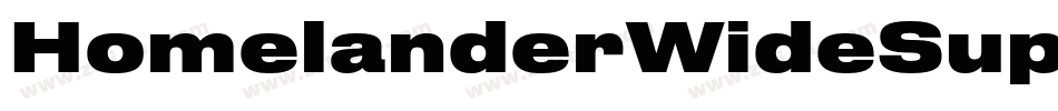 HomelanderWideSuperItalic-ALwwD字体转换 HomelanderWideSuperItalic-ALwwD字体转换