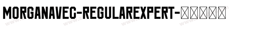 MorganAvec-RegularExpert字体转换
