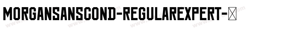 MorganSansCond-RegularExpert字体转换 MorganSansCond-RegularExpert字体转换