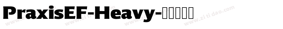 PraxisEF-Heavy字体转换
