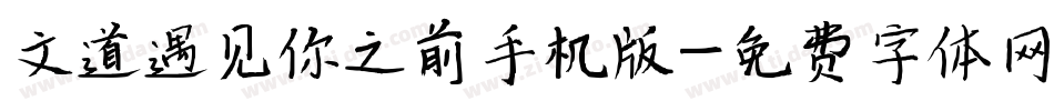 文道遇见你之前手机版字体转换