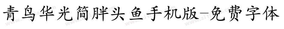 青鸟华光简胖头鱼手机版字体转换