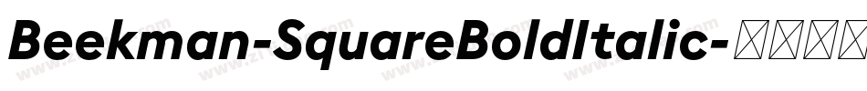 Beekman-SquareBoldItalic字体转换