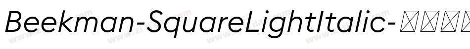 Beekman-SquareLightItalic字体转换
